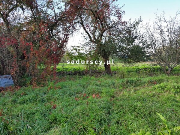 Działka 2003 m2 w Kraków