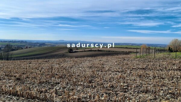 Działka 8198 m2 w Ostrów