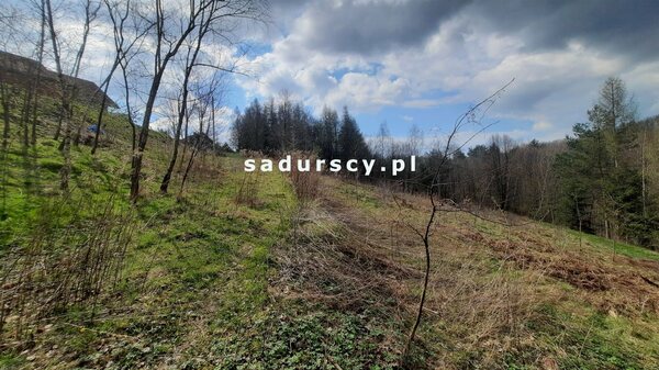 Działka 2300 m2 w Borzęta