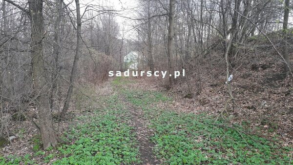 Działka 2300 m2 w Borzęta