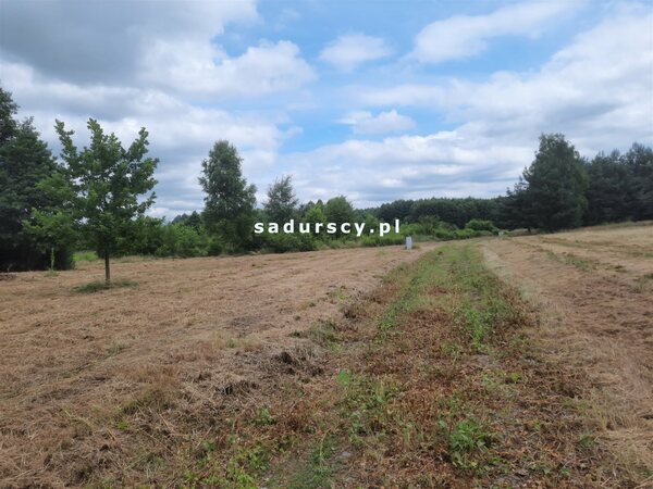 Działka 100 m2 w Bucze