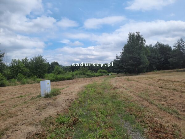 Działka 100 m2 w Bucze