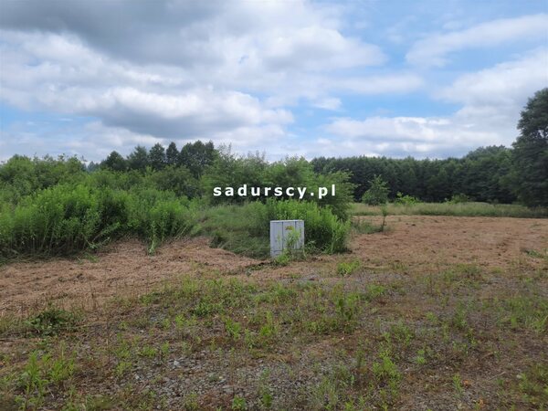 Działka 100 m2 w Bucze