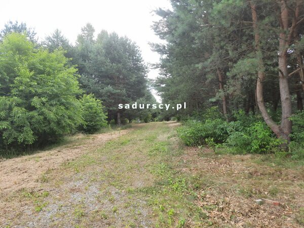 Działka 100 m2 w Bucze