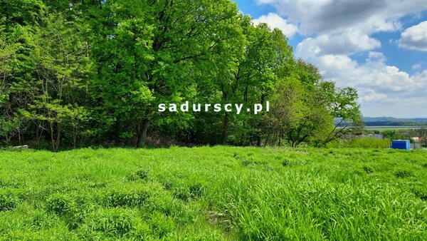 Działka 3442 m2 w Morawica