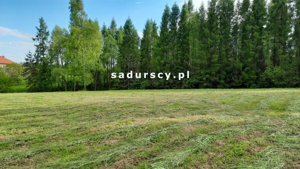 Działka 8900 m2 w Poręba Żegoty