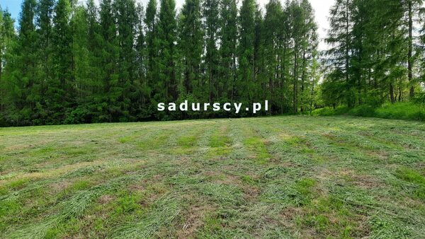 Działka 8900 m2 w Poręba Żegoty