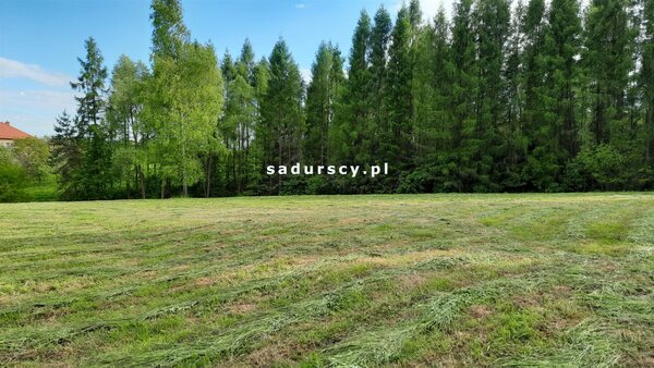 Działka 8900 m2 w Poręba Żegoty