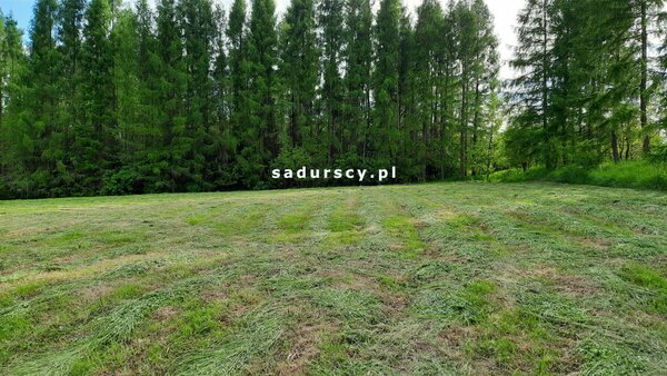 Działka 8900 m2 w Poręba Żegoty