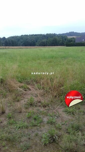 Działka 3800 m2 w Krzeczów