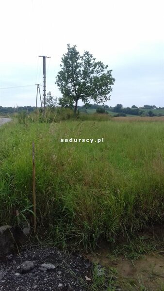 Działka 3800 m2 w Krzeczów