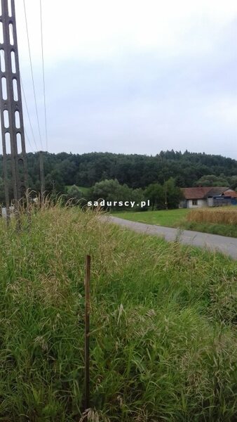 Działka 3800 m2 w Krzeczów