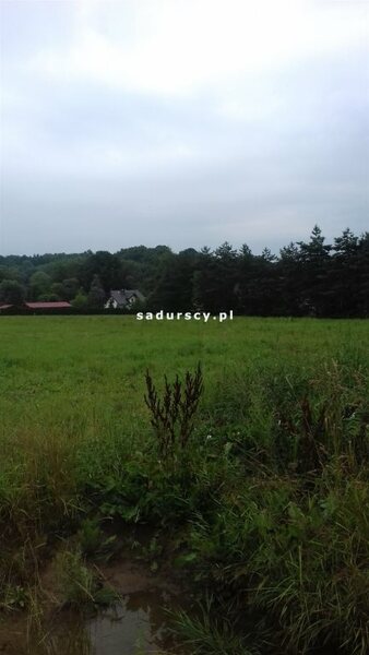 Działka 3800 m2 w Krzeczów