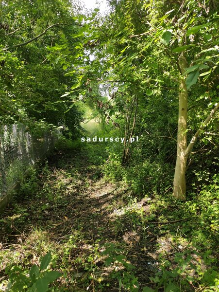 Działka 5743 m2 w Kraków