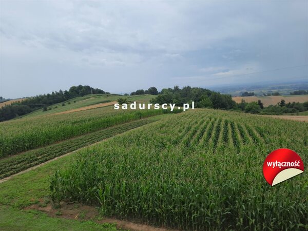 Działka 6200 m2 w Jaksice