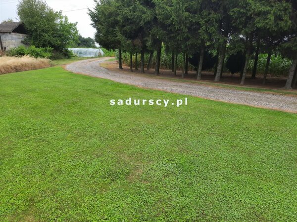 Działka 6200 m2 w Jaksice