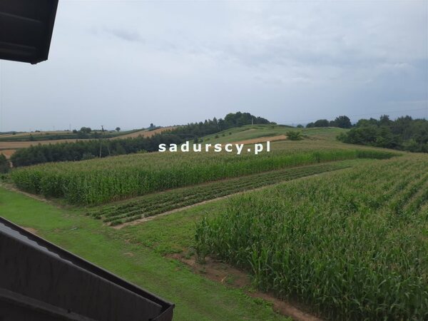 Działka 6200 m2 w Jaksice