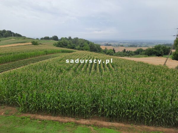 Działka 6200 m2 w Jaksice