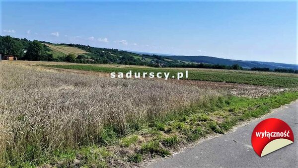 Działka 1900 m2 w DAMICE