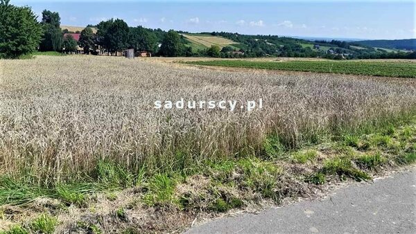 Działka 1900 m2 w DAMICE