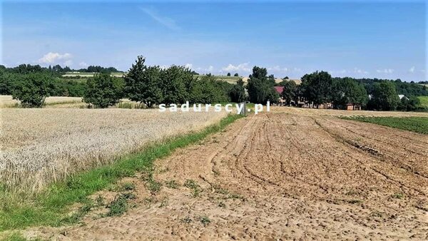 Działka 1900 m2 w DAMICE