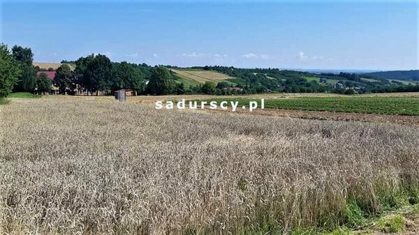 Działka 1900 m2 w DAMICE