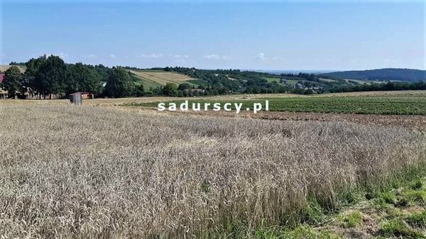 Działka 1900 m2 w DAMICE