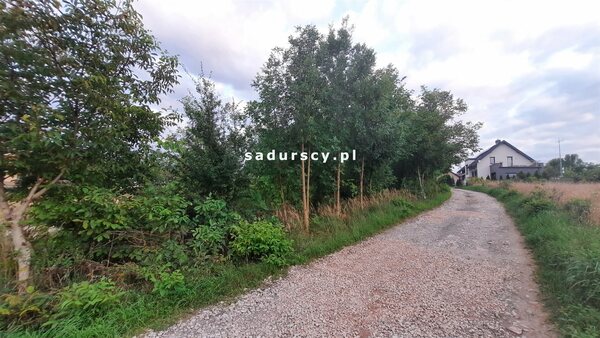 Działka 3700 m2 w Miechów