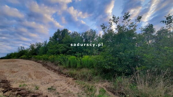 Działka 3700 m2 w Miechów