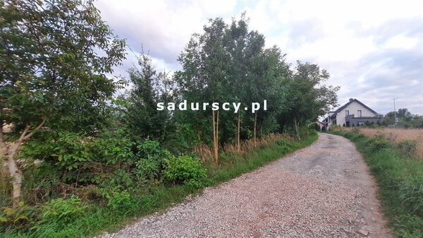 Działka 3700 m2 w Miechów