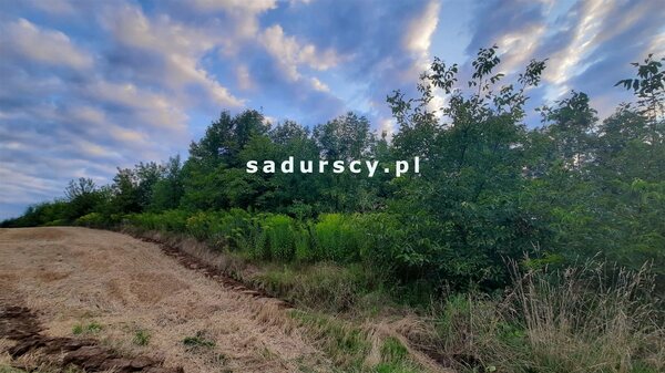 Działka 3700 m2 w Miechów