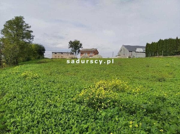 Działka 7310 m2 w Pobiednik Wielki