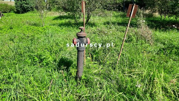 Działka 2000 m2 w Chrząstowice