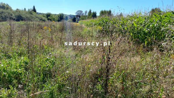 Działka 2000 m2 w Chrząstowice