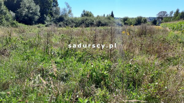 Działka 2000 m2 w Chrząstowice