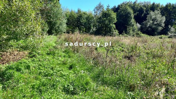 Działka 2000 m2 w Chrząstowice