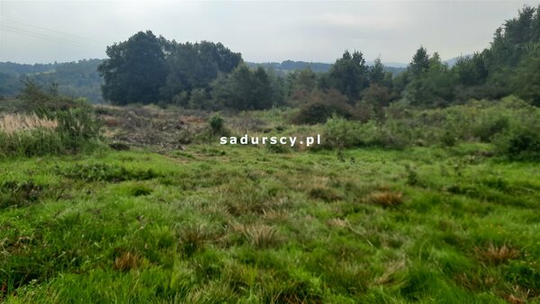 Działka 2650 m2 w Gosprzydowa