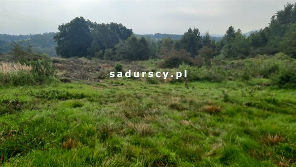 Działka 2650 m2 w Gosprzydowa