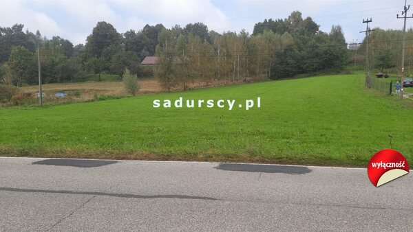 Działka 3300 m2 w Łapanów