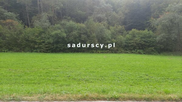 Działka 3300 m2 w Łapanów