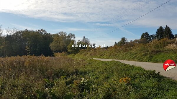 Działka 5100 m2 w Janowice