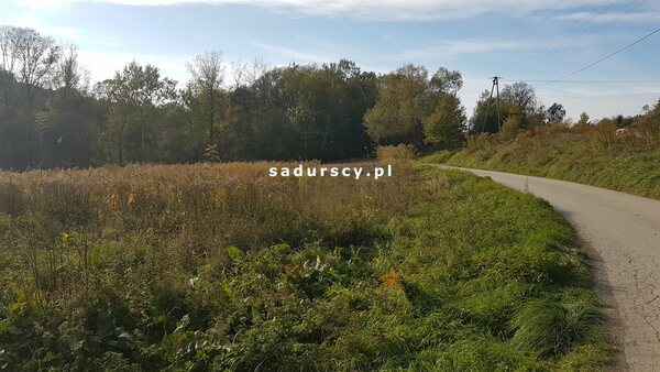 Działka 5100 m2 w Janowice