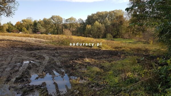 Działka 5100 m2 w Janowice