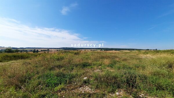 Działka 8100 m2 w Zadroże