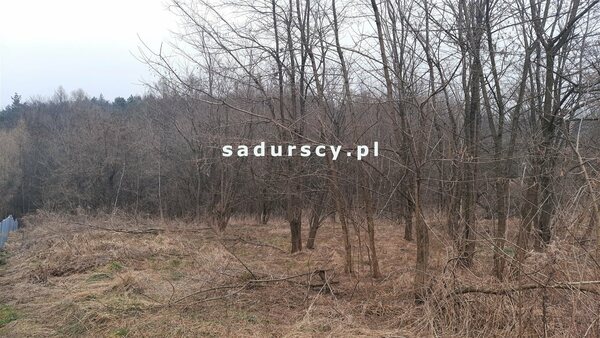 Działka 2279 m2 w Kleszczów