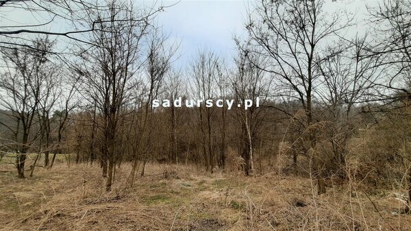 Działka 2279 m2 w Kleszczów