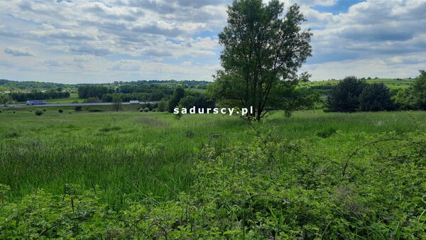 Działka 2013 m2 w Rudno