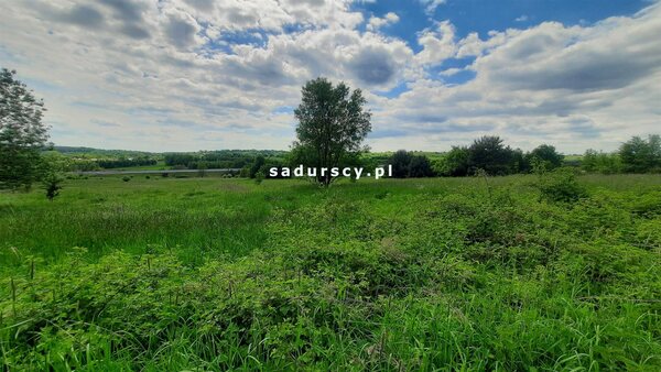 Działka 2013 m2 w Rudno