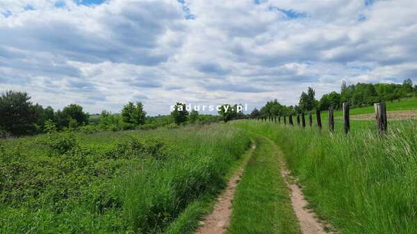 Działka 2013 m2 w Rudno