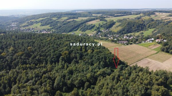 Działka 5760 m2 w Będkowice